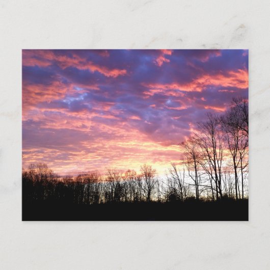 美しい冬の日の出 ポストカード (正面)