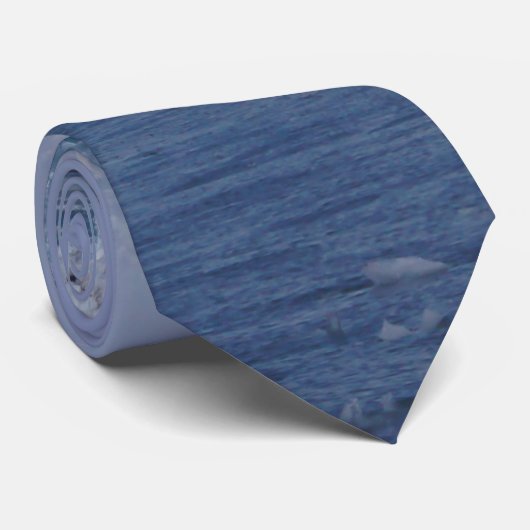 美しい凍っていネックタイ ネクタイ (ロール)