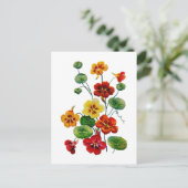 美しい刺カラフルしゅうされたナスタウム ポストカード (スタンド正面)