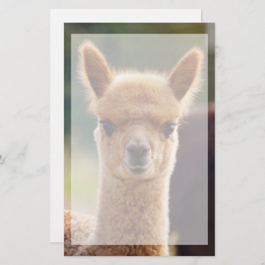 美しい動物アルパカ文房具 便箋 (正面/裏面)