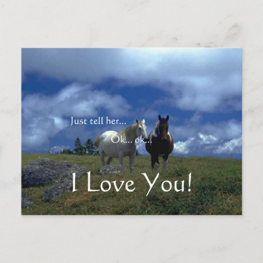 美しい動物カード シーズンポストカード (正面)