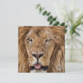 美しい動物園サファリライオン写真 (スタンド正面)