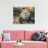 美しい北アフリカのライオン休息 キャンバスプリント (インサイチュ (リビング))