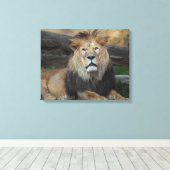 美しい北アフリカのライオン休息 キャンバスプリント (インサイチュ (ウッドフロア))