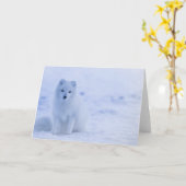 美しい北極キツネ カード (黄色い花)