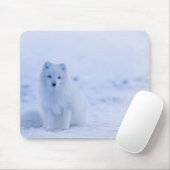 美しい北極キツネ マウスパッド (マウス)