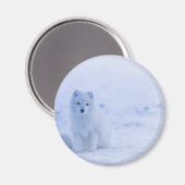 美しい北極キツネ マグネット (正面/裏面)