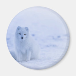 美しい北極キツネ マグネット