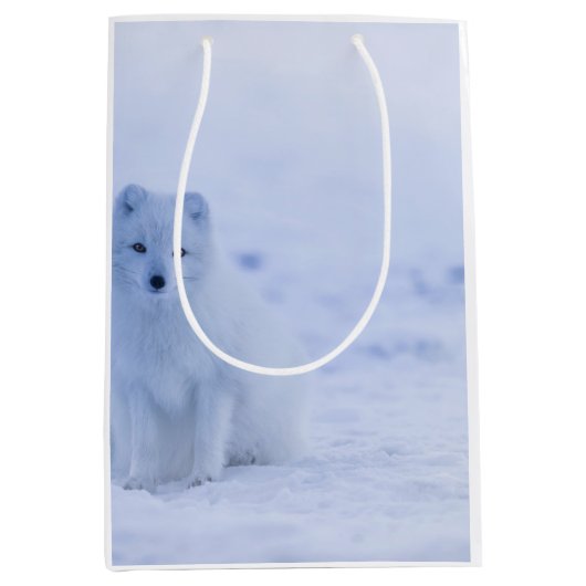 美しい北極キツネ ミディアムペーパーバッグ (正面)
