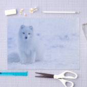 美しい北極キツネ 薄葉紙 (クラフト)