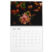 美しい北極ワイルドフラワーカラーウォール カレンダー (3月 2026)