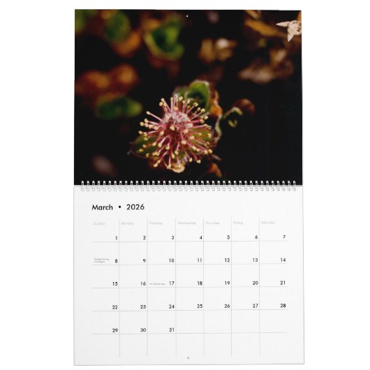 美しい北極ワイルドフラワーカラーウォール カレンダー (3月 2026)