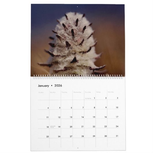 美しい北極ワイルドフラワーカラーウォール カレンダー (1月 2026)