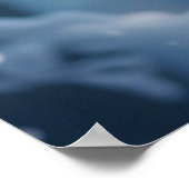 美しい北極狼の写真 ポスター (角)