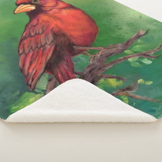 美しい北赤い（鳥）ショウジョウコウカンチョウの絵画鳥の芸術  シェルパブランケット (3/4)