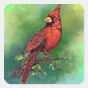 美しい北赤い(鳥)ショウジョウコウカンチョウの絵画鳥の芸術 スクエアシール