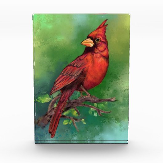 美しい北赤い（鳥）ショウジョウコウカンチョウの絵画鳥の芸術  フォトブロック (正面)