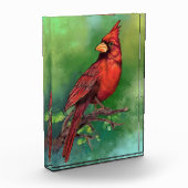 美しい北赤い(鳥)ショウジョウコウカンチョウの絵画鳥の芸術  フォトブロック (左)