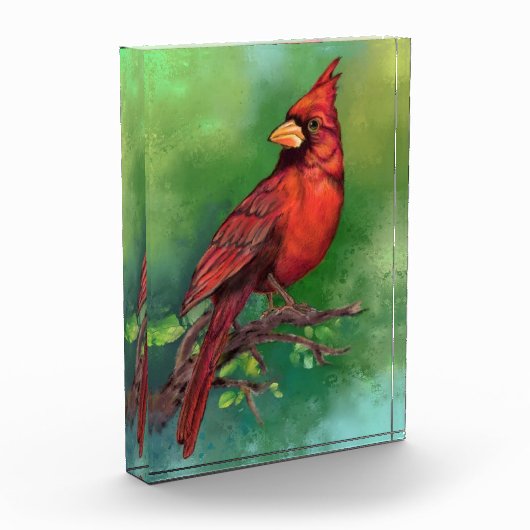美しい北赤い（鳥）ショウジョウコウカンチョウの絵画鳥の芸術  フォトブロック (左)