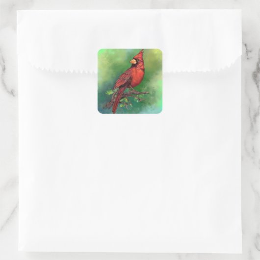 美しい北赤(鳥)ショウジョウコウカンチョウ絵画の鳥 スクエアシール (バッグ)