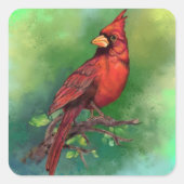 美しい北赤(鳥)ショウジョウコウカンチョウ絵画の鳥 スクエアシール (正面)