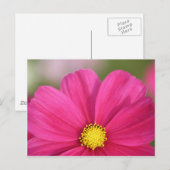 美しい半分の ポストカード (正面/裏面)