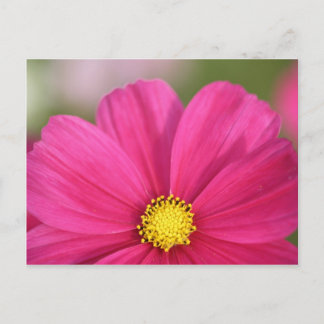 美しい半分の ポストカード