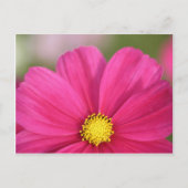 美しい半分の ポストカード (正面)