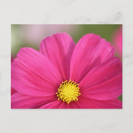 美しい半分の ポストカード (正面)