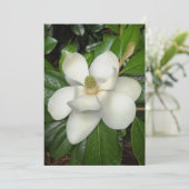 美しい南マグノリア サンキューカード (スタンド正面)