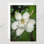 美しい南マグノリア サンキューカード (正面/裏面)