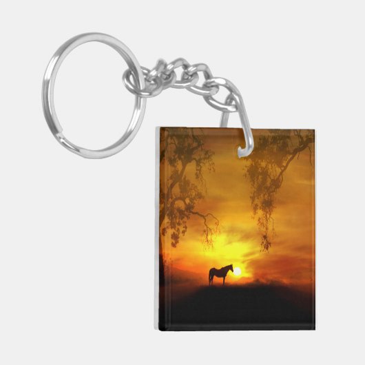 美しい南西ホースキーチェーン キーホルダー (正面左)
