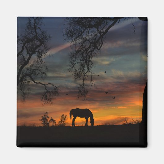 美しい南西部の馬磁石 マグネット (正面)