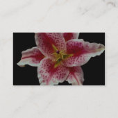 美しい占星家ユリ 名刺 (裏面)