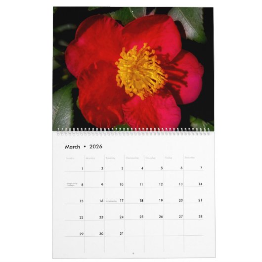 美しい印象 カレンダー (3月 2026)