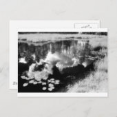 美しい反射の風景とノースウッズ湖 ポストカード (正面/裏面)