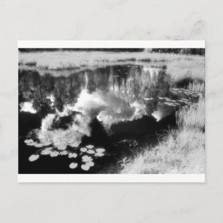 美しい反射の風景とノースウッズ湖 ポストカード