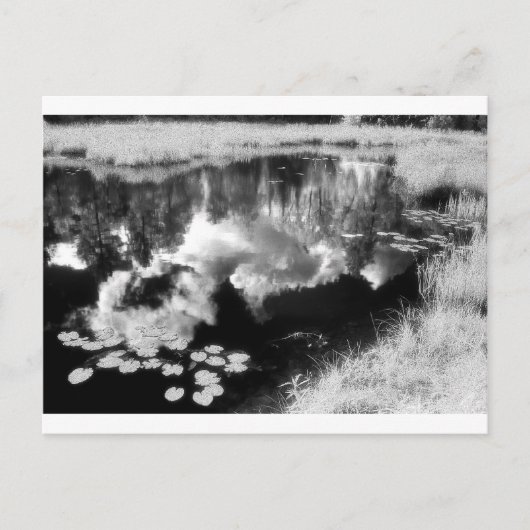 美しい反射の風景とノースウッズ湖 ポストカード (正面)