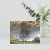 美しい反射写真の木はがき ポストカード (スタンド正面)