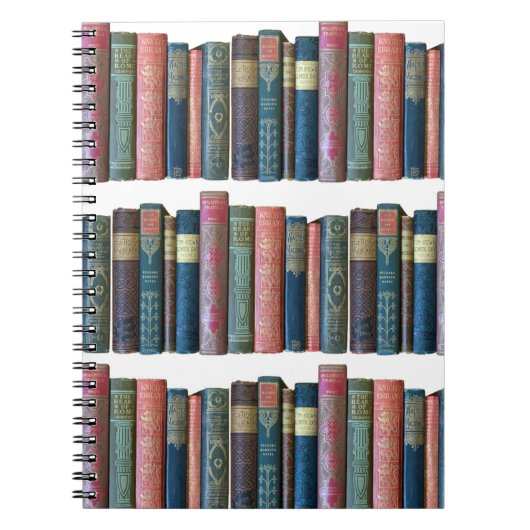 美しい古いヴィンテージの本、本の棘 ノートブック (正面)