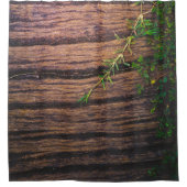 美しい古い木 シャワーカーテン (正面)