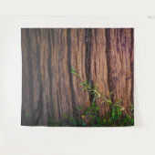 美しい古い木 タペストリー (正面(横))