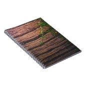 美しい古い木 ノートブック (右側)