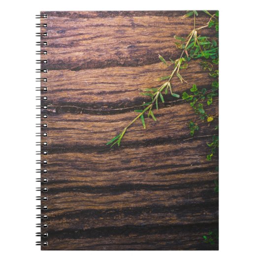 美しい古い木 ノートブック (正面)
