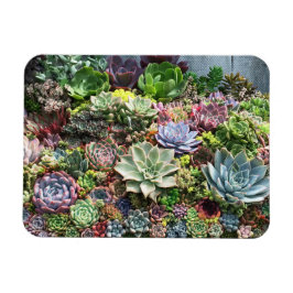 美しい吸汁植物 マグネット