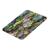 美しい吸汁植物 マグネット (左側)