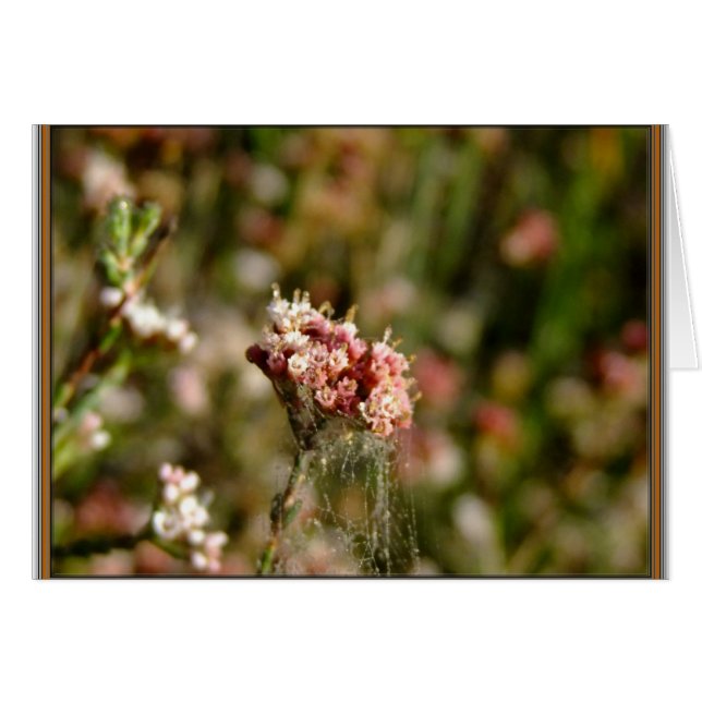 美しい咲くこと (正面横)