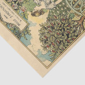 美しい図解入りの、写真付きのヴィンテージジュルディニエール1896 薄葉紙 (詳細)