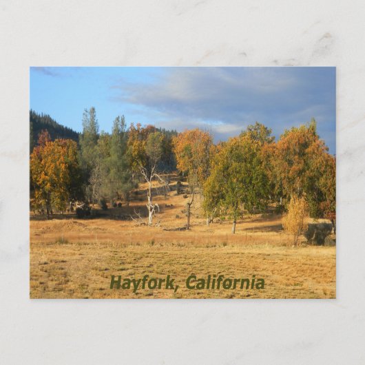 美しい国… ポストカード (正面)