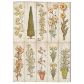 美しい園芸植物 クリップボード (裏面)